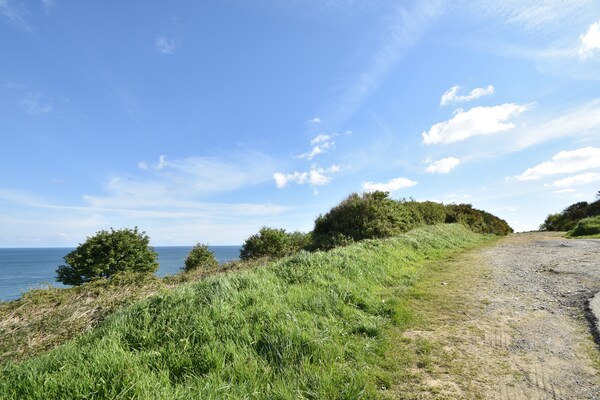 Foto van Vakantiehuis Saint-Gilles bij strand - Vakantiehuis in Saint-Gilles-les-Bois - AreaSummer20KM