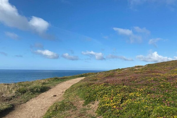 Foto van Familie-uitje aan de kust - Vakantiehuis in Plouhinec - AreaSummer1KM