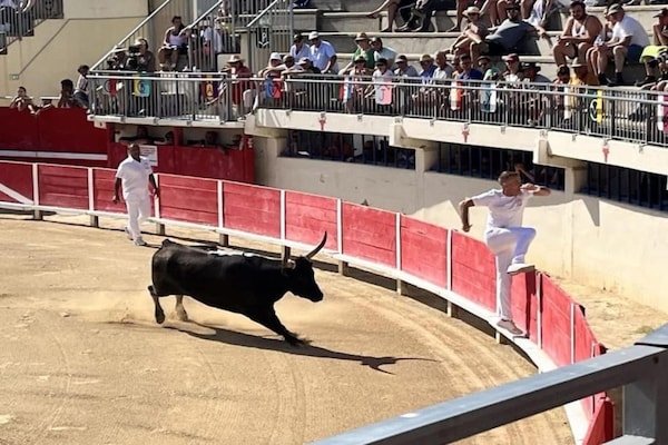 Foto van Gezellig appartement aan zee - Vakantiehuis in Le Grau-du-Roi - AreaSummer20KM