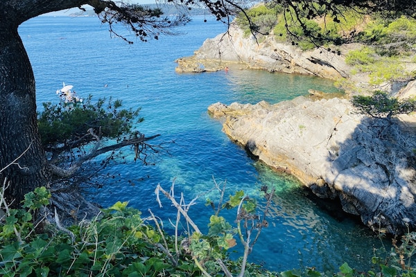 Foto van Elegant vakantiehuis met zwembad - Vakantiehuis in Toulon - AreaSummer5KM