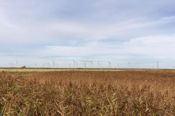 Foto van Lodge in Appledore bij Camber Sands - Vakantiehuis in Romney Marsh - AreaSummer20KM