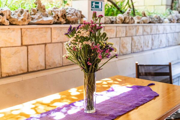 Foto van Apartments Nikolina (LU) - One-Bedroom Apartment with terrace - Indoor