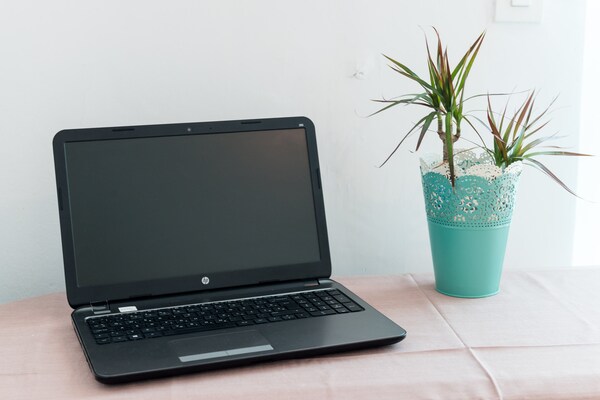 Foto van Apartments Villa Bell Memories- Studio Apartment with Terrace and Street View (A1) - Indoor