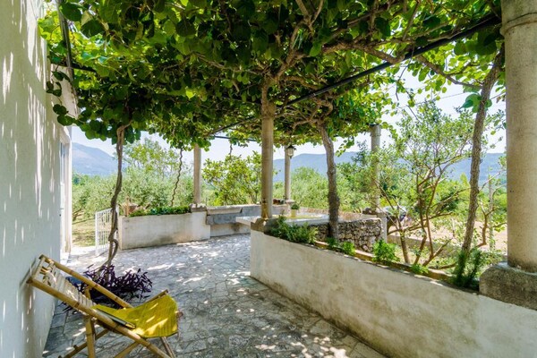 Foto van Holiday Home Field of Olives - Two Bedroom Holiday Home with Terrace - terrace