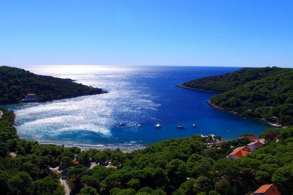 Foto van Apartments Matuško Mljet - Two-Bedroom Apartment with Terrace and Sea View - View