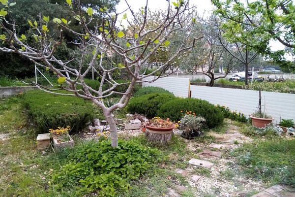 Foto van 2 slaapkamer appartement met terras - Vakantiehuis in Biograd na Moru - Outdoor