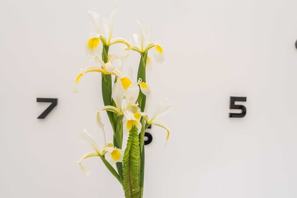 Foto van Apartments Maza - One Bedroom Apartment with Balcony (Angela) - Indoor