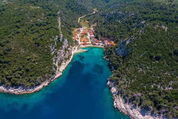 Foto van Appartement Vela Stiniva met terras - Vakantiehuis in Zastrazisce - Ambiance