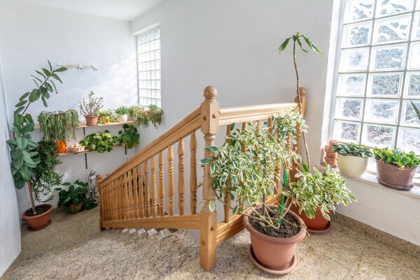 Foto van Charming Trogir Apartments with Balcony - One Bedroom Apartment - stairs