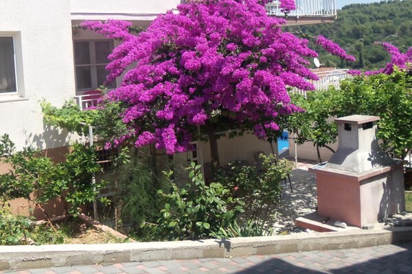 Foto van Apartmani Lucija - Three Bedroom Apartment - Vakantiehuis in Okrug Gornji - Outdoor