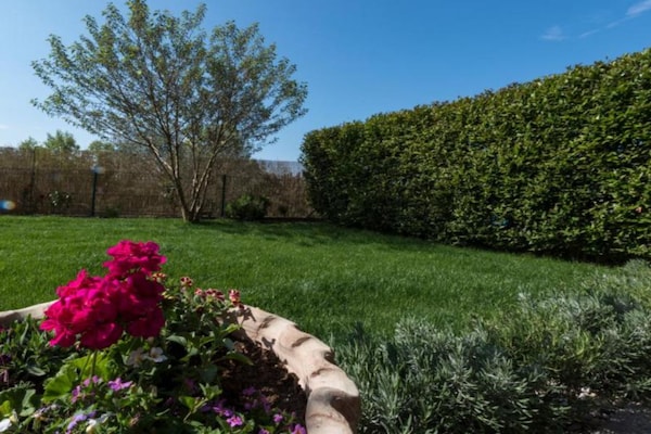 Foto van Comfort Villa Roza in Umag - 5 Bedroom With Pool - Vakantiehuis in Umag - Outdoor