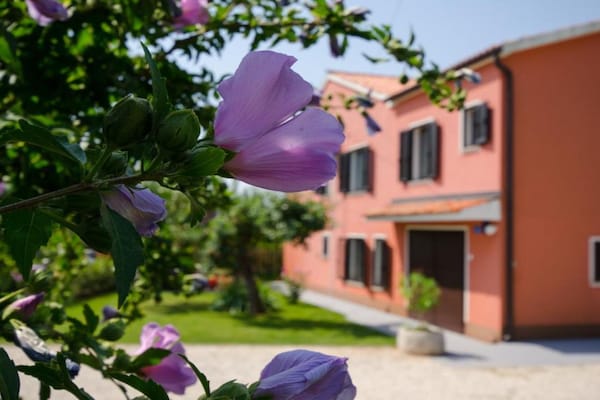 Foto van Comfort Villa Roza in Umag - 5 Bedroom With Pool - Vakantiehuis in Umag - Outdoor