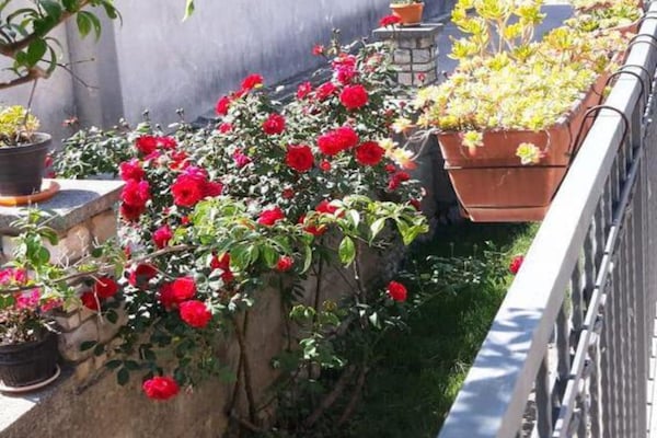 Foto van Casa Dolce Mare - ThreeBedroom Holiday Home with Terrace - Terrace