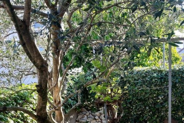 Foto van Casa Dolce Mare - ThreeBedroom Holiday Home with Terrace - Terrace