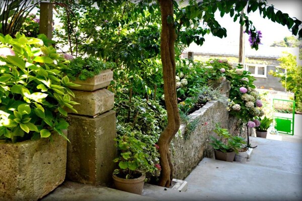 Foto van Comfort Apartments Lumbarda - Studio with SeaView - Vakantiehuis in Lumbarda - Outdoor