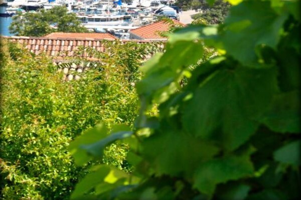 Foto van Comfort Apartments Lumbarda - Studio with SeaView - Vakantiehuis in Lumbarda - Outdoor