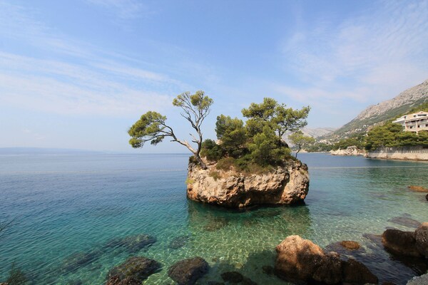 Foto van Gezellig appartement aan zee Celina - Vakantiehuis in Čelina, Lokva Rogoznica - AreaSummer20KM
