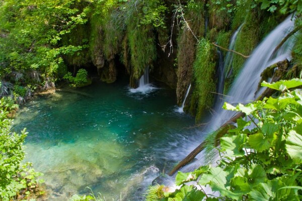 Foto van Appartement in de kustplaats Grebastica - Vakantiehuis in Grebaštica - AreaSummer20KM