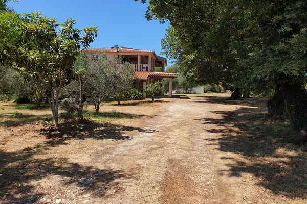 Foto van Vakantiehuis in Banjole bij het Strand - Vakantiehuis in Banjole - ExteriorSummer