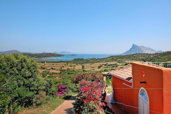 Foto van Appartement in de residentie Lu Nibareddu, Loiri - Vakantiehuis in Loiri - ExteriorSummer