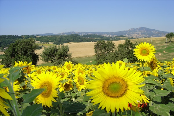 Foto van Boerderij in Proceno met zwembad en uitzicht - Vakantiehuis in Proceno - Ambiance