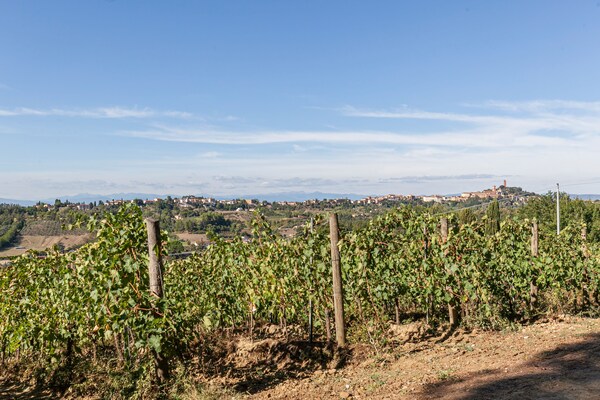 Foto van Boerderij met zwembad - Vakantiehuis in Località Cusignano - San Miniato (PI) - ViewSummer
