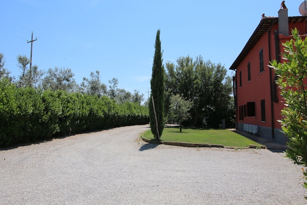Foto van Boerderij Montalto bij Stranden - Vakantiehuis in Montalto di Castro - ExteriorSummer