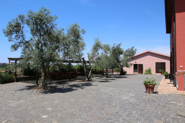 Foto van Boerderij Montalto bij Stranden - Vakantiehuis in Montalto di Castro - TerraceBalcony