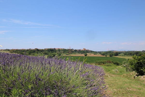 Foto van Boerderij Montalto bij Stranden - Vakantiehuis in Montalto di Castro - GardenSummer