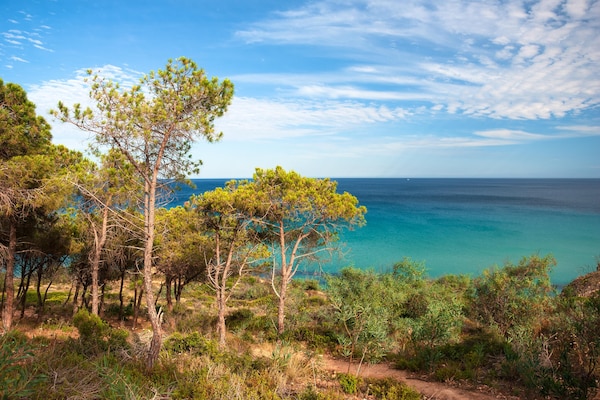 Foto van Appartement met gedeeld zwembad in Pula - Vakantiehuis in Pula (CA) - WaterView