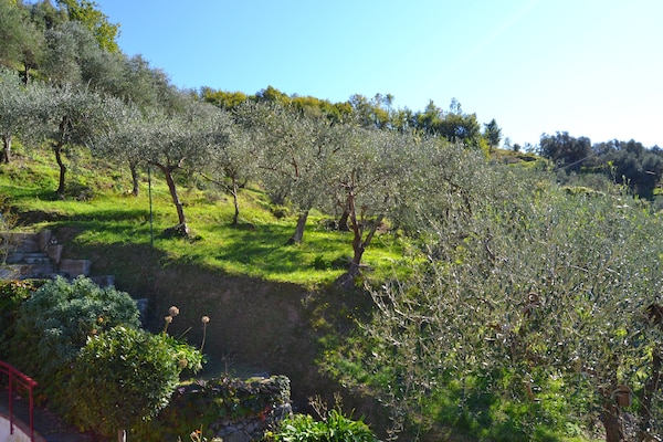 Foto van Ontsnappen in de buurt van Cinque Terre - Vakantiehuis in Moneglia - GardenSummer