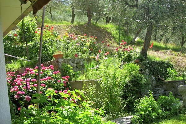 Foto van Ontsnappen in de buurt van Cinque Terre - Vakantiehuis in Moneglia - GardenSummer