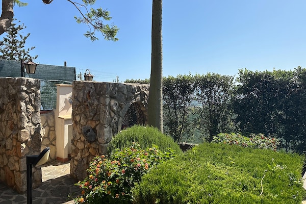 Foto van Villa met gedeeld zwembad nabij Castellammare del Golfo - GardenSummer