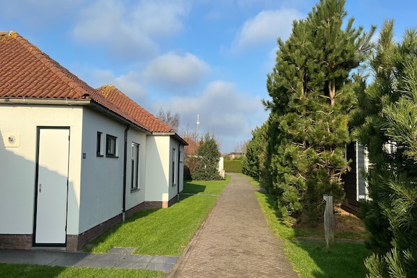 Foto van Centraal gelegen Bungalow op Texel - Vakantiehuis in Den Burg - ExteriorSummer