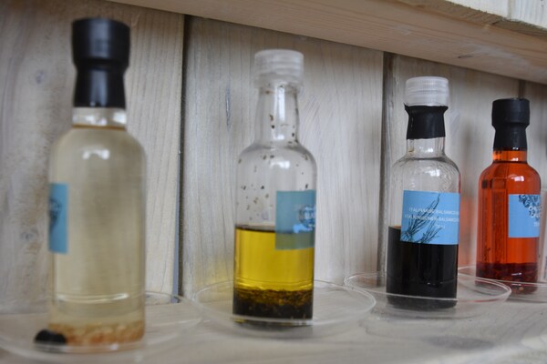 Foto van Elegante studio vlakbij het strand - Vakantiehuis in Bergen aan Zee - Ambiance