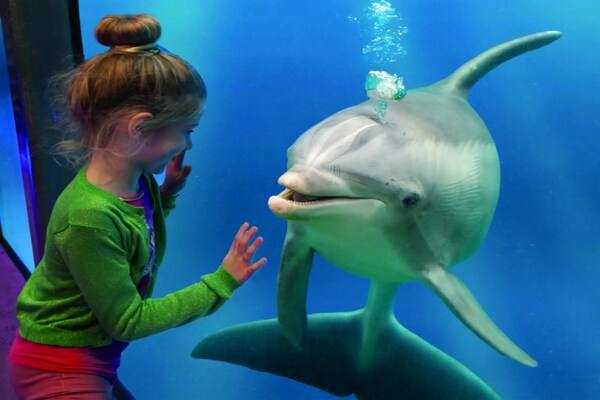 Foto van Huis in Nederland voor 8 personen - Vakantiehuis in Breskens - AreaSummer20KM