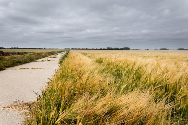 Foto van Huisdiervriendelijke boerderij - Vakantiehuis in Eede - AreaSummer20KM