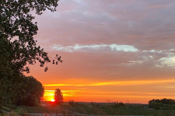 Foto van Zeeuwse Familie Retreat - Vakantiehuis in Scherpenisse - AreaSummer20KM