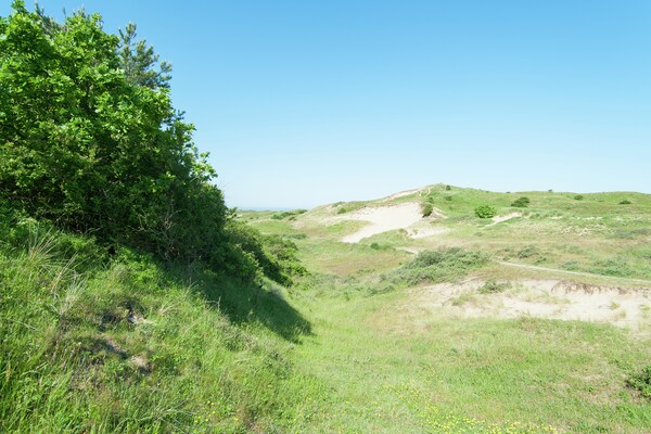 Foto van Modern toevluchtsoord bij de duinen - Vakantiehuis in Bloemendaal - AreaSummer20KM