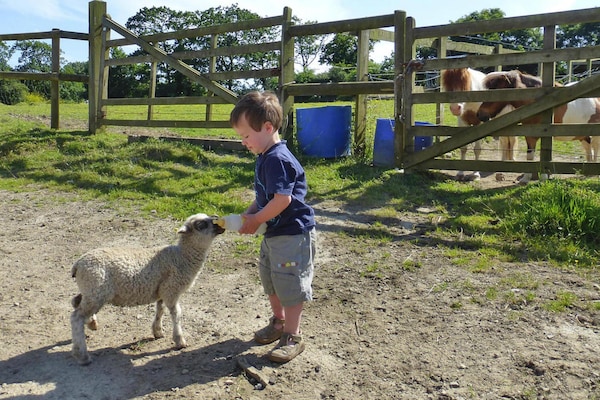Foto van Landhuis bij Mont St. Michel en Contentin - Vakantiehuis in Saint-Lô-d'Ourville - AreaSummer1KM