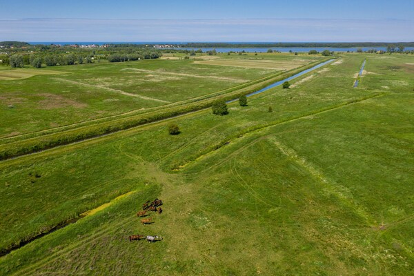 Foto van Bakstenen huis bij de Oostzee en molen - Vakantiehuis in Lędzin - AreaSummer1KM