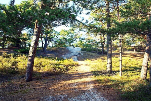 Foto van Vakantiehuis in Kopalino bij Strand - Vakantiehuis in Kopalino - AreaSummer5KM