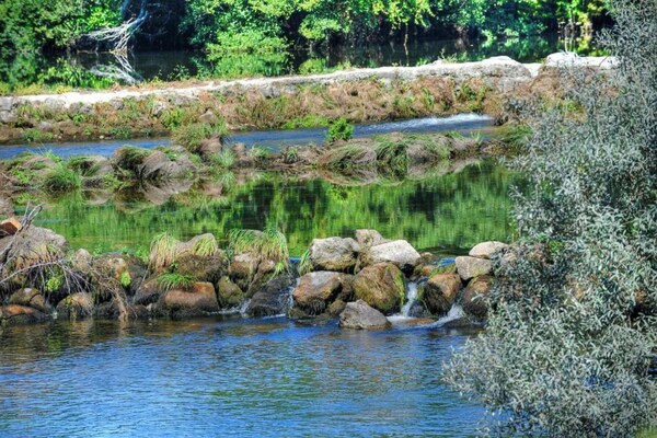 Foto van Vakantiehuis in Ponte de Lima met zwembad - Vakantiehuis in Santa Cruz do Lima, Ponte de Lima - AreaSummer20KM