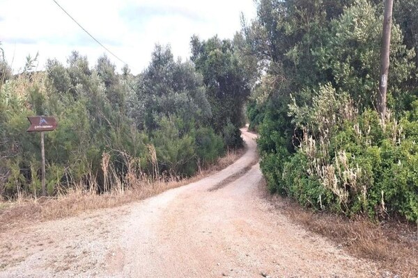 Foto van Appartement in Lagos met zeezicht - Vakantiehuis in Lagos - AreaSummer20KM